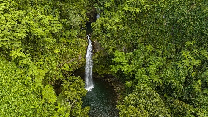 Tavoro Falls, Bouma National Park, Taveuni, Fiji, South Pacific, Oceania, by Michael Runkel