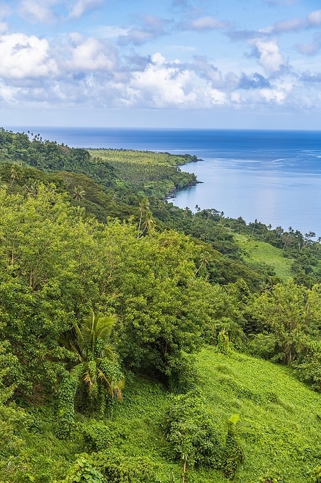 Overlook over the coastline of Taveuni, Fiji, South Pacific, Oceania, by Michael Runkel