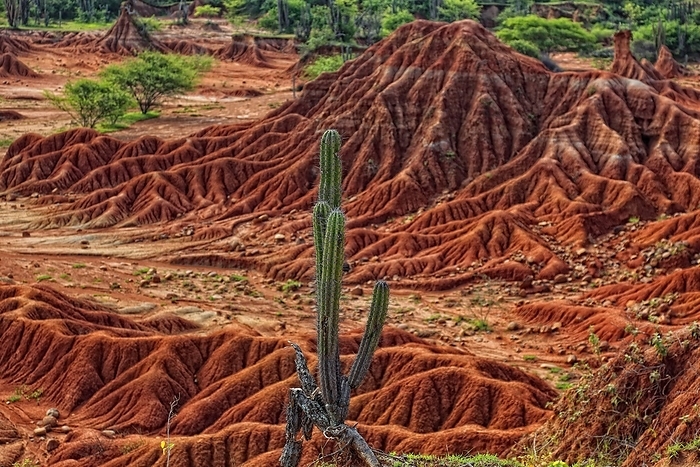 Republic of Colombia, Tatacoa Desert, landscape in the department of Huila, Desierto de la Tatacoa, Tatacoa Desert is a desert of about 330 km² in Colombia , in the northern part of the province of Huila in the valley of the Río Magdalena, a dry basin at the foot of the Eastern Cordillera, tropical dry forest, playful rock cones, washed-out playful rock cones, washed-out gorges and rock formations, Colombia, South America, by Sunny Celeste