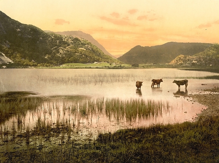 Cwynant Valley, Llyn Dinas, a lake near Beddgelert, Gwynedd in North Wales, 1880, Historical, digitally enhanced reproduction of a photochrome print of the time, by Sunny Celeste