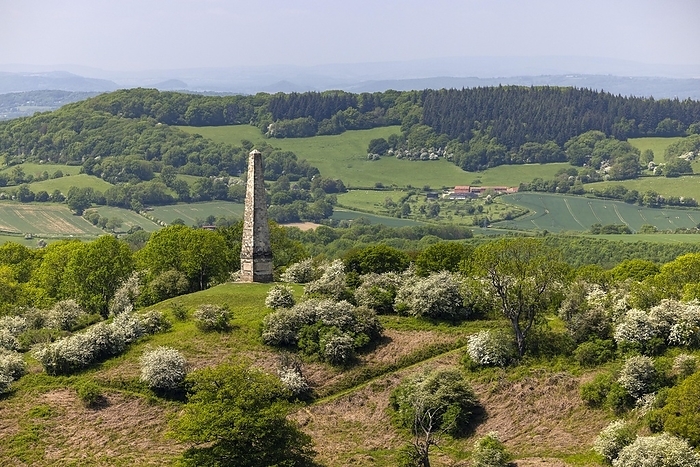 Hillside with Eastnor Obelisk, Malvern Hills, England, Great Britain, by Michael Szönyi