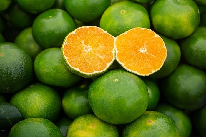 Freshly picked green tangerines mandarines, clementines, as Citrus fruit background, by Turgay Koca
