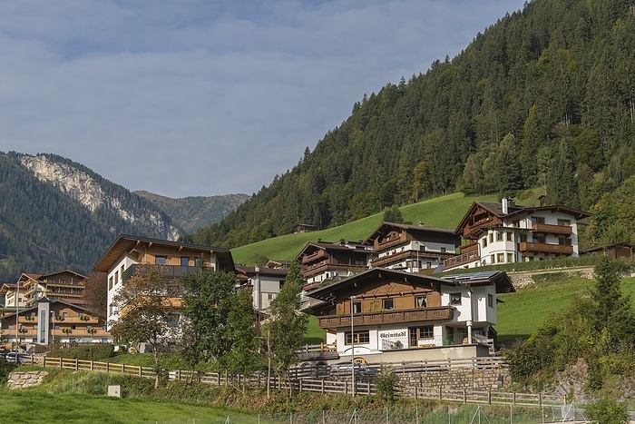 Austria Holiday resort Finkenberg  850m , typical houses, hillside location, Tux valley, alpine landscape, wooden gables, Tyrol, Zillertal Alps, Austria, Europe, by Wolfgang Diederich