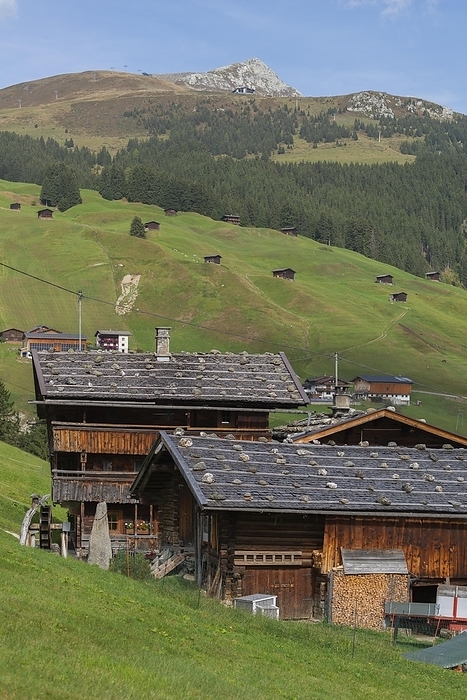 Historic farmhouses in the hamlet of Gemais, former Schwaighof, listed building, cultural heritage, timber construction, roof construction, blue sky, Tux, Tux Valley, Zillertal Alps, by Wolfgang Diederich