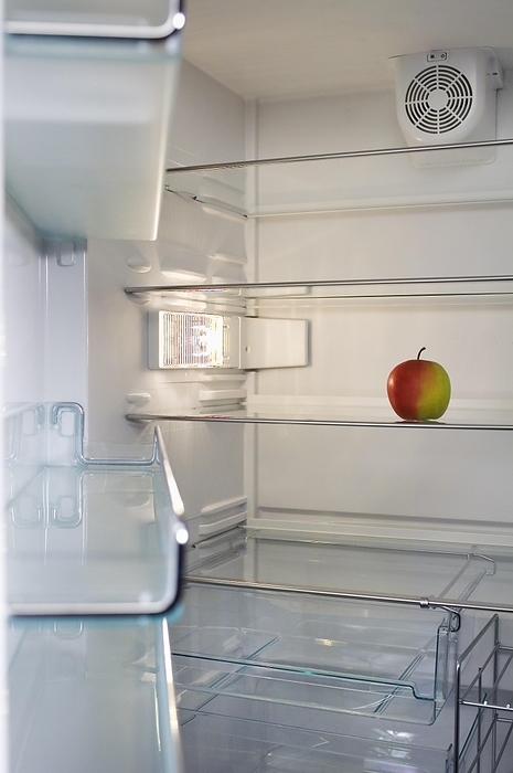 Almost empty fridge with just one apple, Diet, Losing weight, by Franzel Drepper