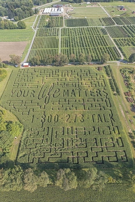 Richland, Michigan, A corn maze with a suicide prevention theme at Gull Meadow Farms, by Jim West