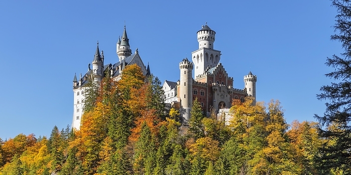 Germany Neuschwanstein Castle, Schwangau near F ssen, Allg u, Bavaria, Germany, F ssen, Bavaria, Germany, Europe, by Franz Walter