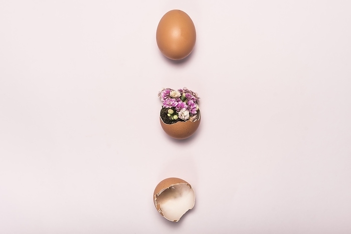 Flower broken egg pink table, by Oleksandr Latkun