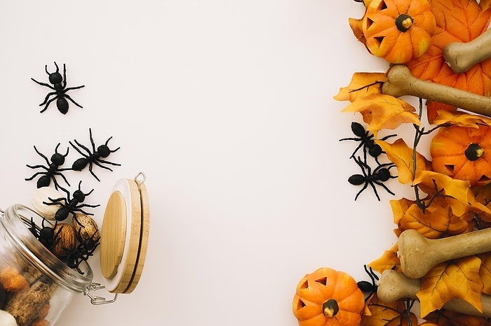 Halloween concept with ants, by Oleksandr Latkun