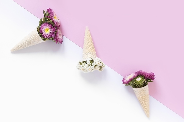 High angle view beautiful flowers waffle ice cream cone dual background, by Oleksandr Latkun