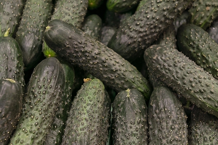 Delicious cucumbers arrangement, by Oleksandr Latkun