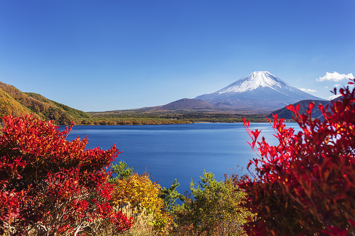 Fuji and Motosu Lake Yamanashi Prefecture