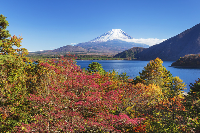 Fuji and Motosu Lake Yamanashi Prefecture