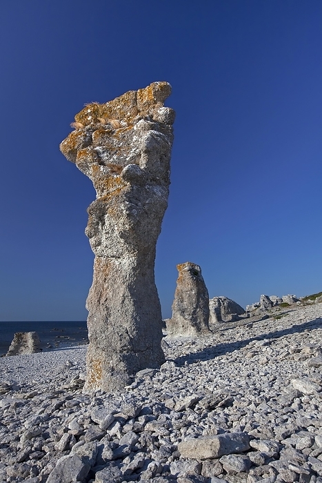 Sweden Limestone sea stacks, raukar at Langhammar, Gotland, Sweden, Europe, by alimdi   Arterra