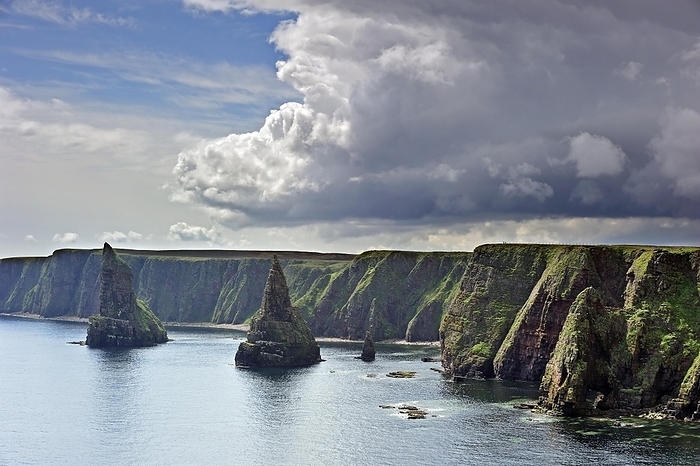 Scotland Rain clouds over the sea cliffs and stacks of Duncansby, Caithness, Highlands, Scotland, UK, by alimdi   Arterra   Philippe Cl ment