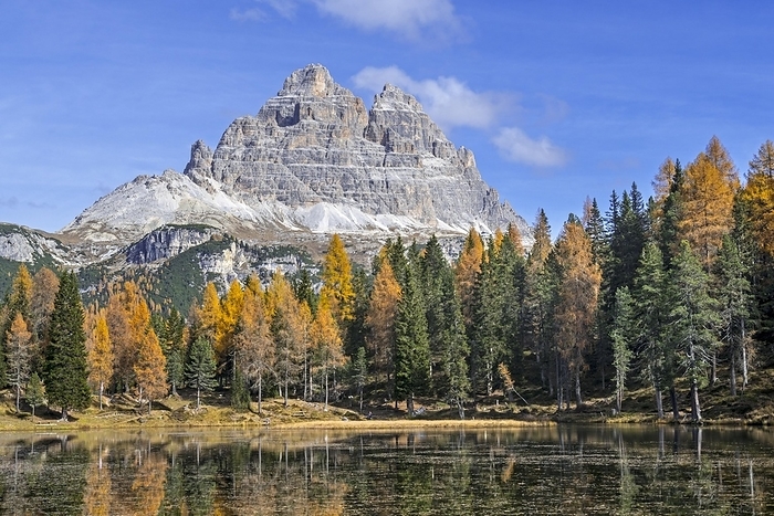 Italy Mountain Drei Zinnen and larch trees in autumn colours around Lake Lago d Antorno in the Tre Cime Natural Park, Dolomites, South Tyrol, Italy, Europe, by alimdi   Arterra   Philippe Cl ment