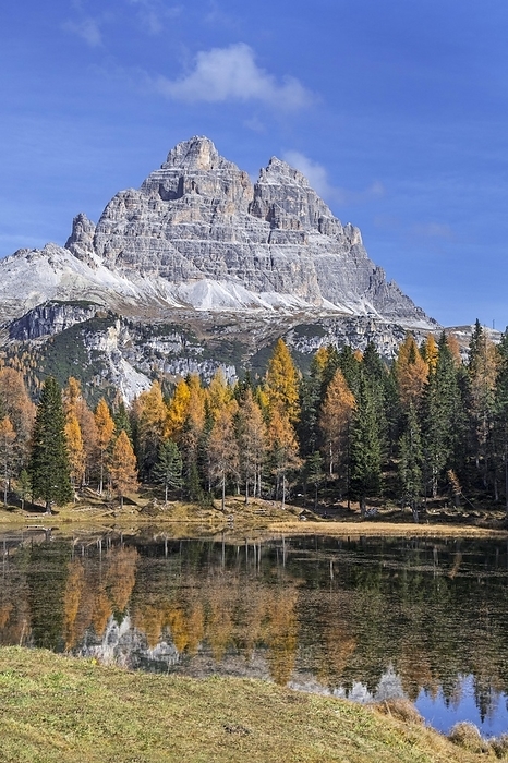 Italy Mountain Drei Zinnen and larch trees reflected in water of Lake Lago d Antorno in the Tre Cime Natural Park in autumn, Dolomites, South Tyrol, Italy, Europe, by alimdi   Arterra   Philippe Cl ment