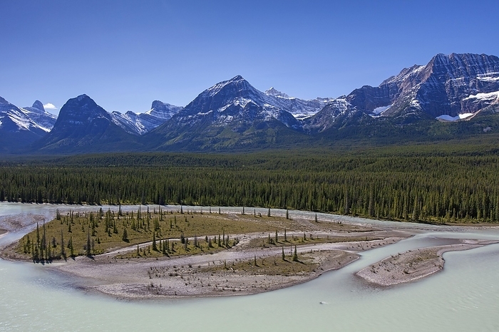 Canada Athabasca River with glacial meltwater carrying rock flour in front of the Rocky Mountains, Jasper National Park, Alberta, Canada, North America, by alimdi   Arterra   Sven Erik Arndt
