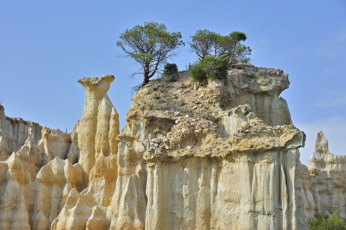 France Strange rock formations created by water erosion at the Orgues d Ille sur T t in the Pyr n es Orientales, Pyrenees, France, Europe, by alimdi   Arterra   Philippe Cl ment