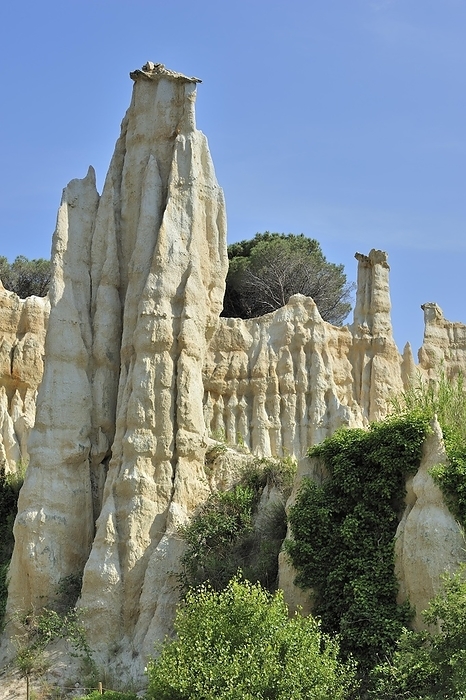 France Strange rock formations created by water erosion at the Orgues d Ille sur T t in the Pyr n es Orientales, Pyrenees, France, Europe, by alimdi   Arterra   Philippe Cl ment