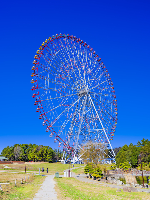 Ferris wheel at Kasai Rinkai Park Tokyo
