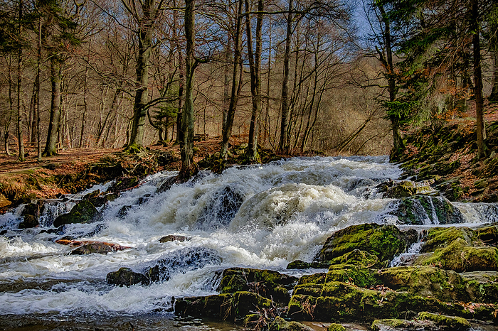 Stream  Stream Selke, Harz Mountains, Germany, by Zoonar Daniel K hne