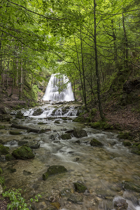 Josefstal waterfall in the Spitzingsee area, Bavaria Josefstal waterfall in the Spitzingsee area, Bavaria, by Zoonar Harald Biebel