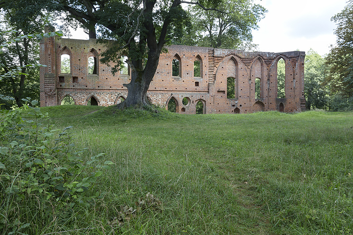 The monastery ruin in Boitzenburg, Uckermark The monastery ruin in Boitzenburg, Uckermark, by Zoonar Harald Biebel