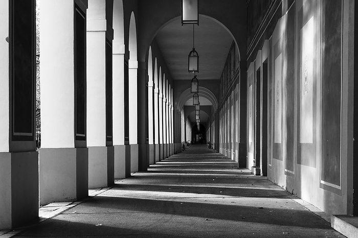 Classic portico in black and white Classic portico in black and white, by Zoonar Harald Biebel