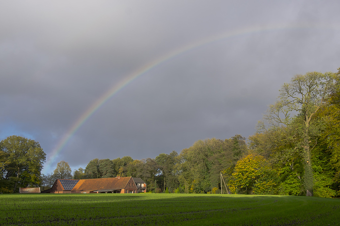 rainbow rainbow, by Zoonar AnnaReinert