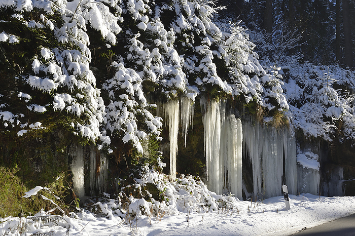 Frozen icicles on a road Frozen icicles on a road, by Zoonar Karin Jaehne