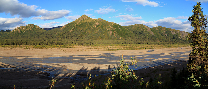 Panorama in the Denali national park in Alaska Panorama in the Denali national park in Alaska, by Zoonar Andreas Edelm