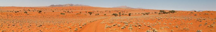 NamibRand Nature Reserve NamibRand Nature Reserve, by Zoonar Andreas Edelm