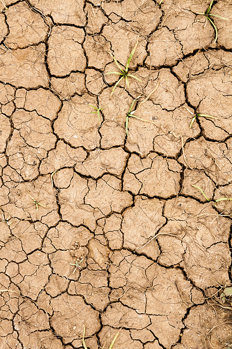 cracked dry earth cracked dry earth, by Zoonar angeta