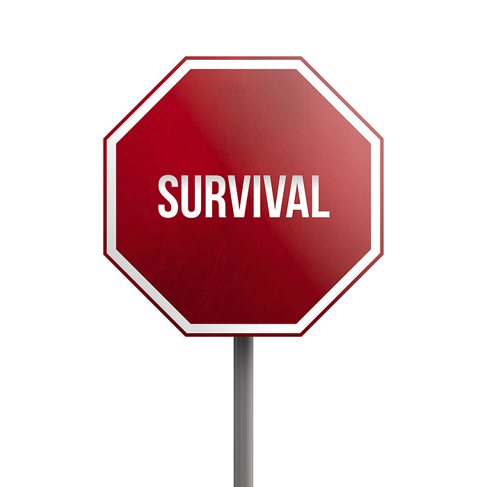 Survival strategy   red sign isolated on white background Survival strategy   red sign isolated on white background, by Zoonar Markus Beck
