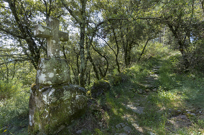 Old stone road cross in southern France Old stone road cross in southern France, by Zoonar Harald Biebel