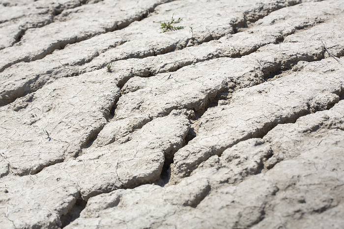 Dried out soil, lack of water Dried out soil, lack of water, by Zoonar Harald Biebel