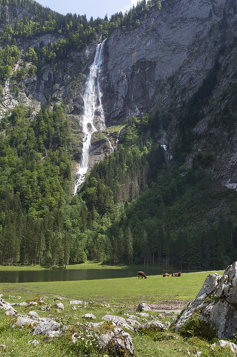 R thbach Falls at Obersee, BGL R thbach Falls at Obersee, BGL, by Zoonar Harald Biebel