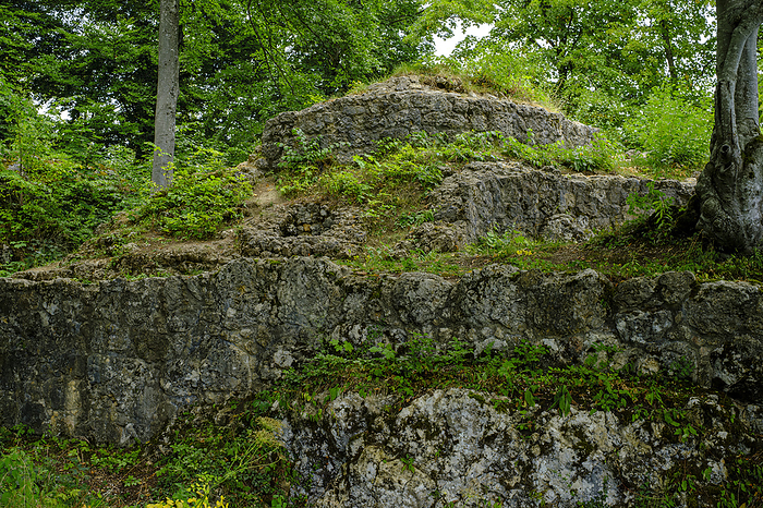 Alt Lichtenstein Castle Ruins, Swabian Alb, Germany Alt Lichtenstein Castle Ruins, Swabian Alb, Germany, by Zoonar Ullrich Gnoth