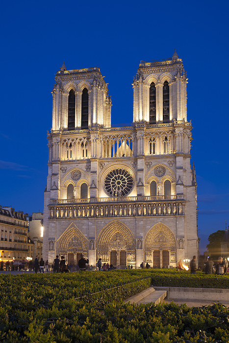 Nightfall in Notre Dame, Paris, Ile de france, France Nightfall in Notre Dame, Paris, Ile de france, France, by Zoonar Francisco Jav