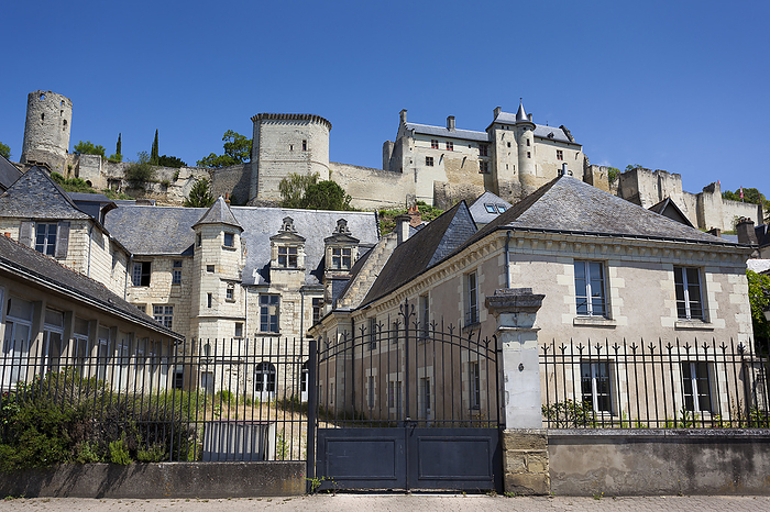 Architecture and castle of Chinon, Indre et Loire, Loire valley, Central region, France Architecture and castle of Chinon, Indre et Loire, Loire valley, Central region, France, by Zoonar Francisco Jav