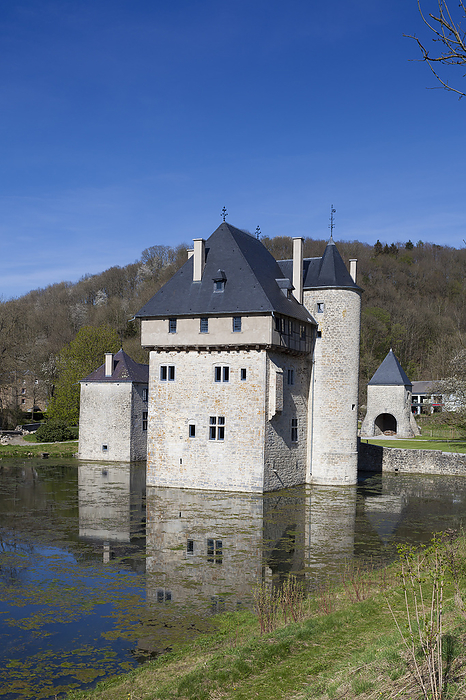 Carondelet castle, Crupet, Namur province, Ardennes, Belgium Carondelet castle, Crupet, Namur province, Ardennes, Belgium, by Zoonar Francisco Jav