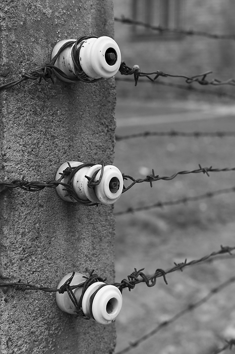 Electric fence, Nazi concentration and extermination camp, Auschwitz, Poland Electric fence, Nazi concentration and extermination camp, Auschwitz, Poland, by Zoonar Francisco Jav