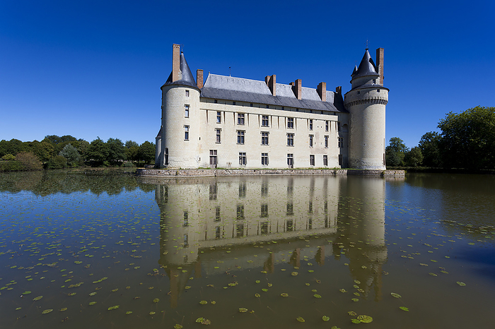 Plessis Bourr  castle, Pays de la Loire, Loire Valley, France Plessis Bourr  castle, Pays de la Loire, Loire Valley, France, by Zoonar Francisco Jav