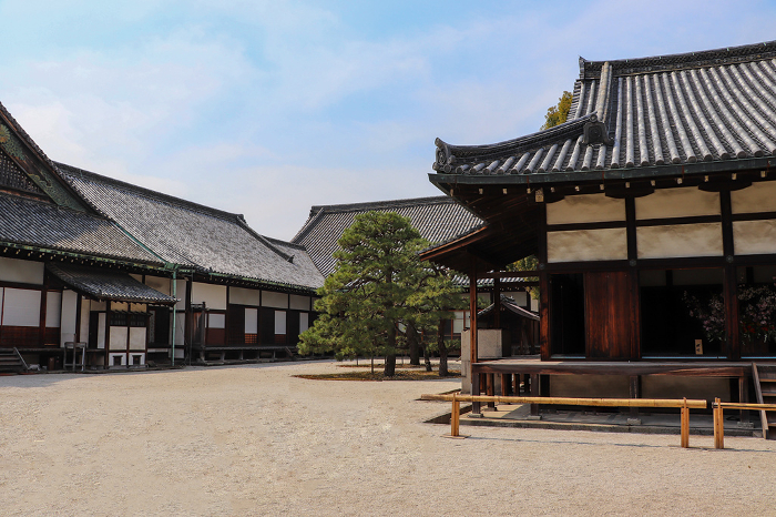 Palace of Nijo Castle, Kyoto