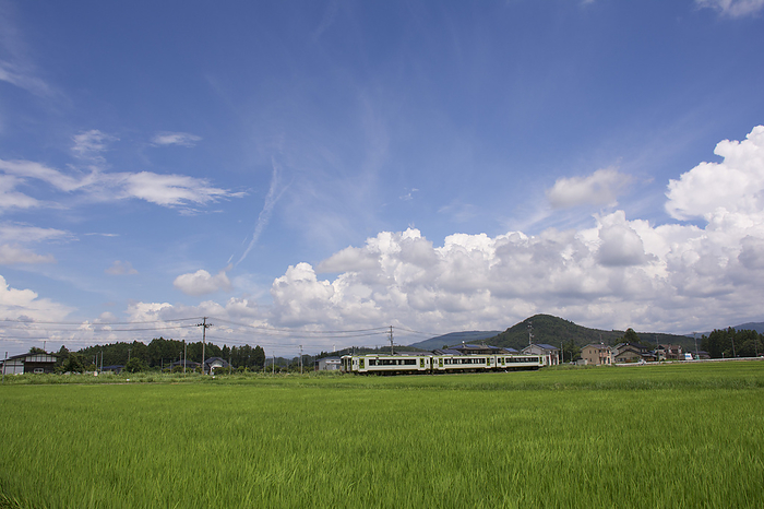 Paddy fields and the Kamaishi Line