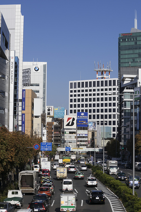 Scenery of Aoyama Street