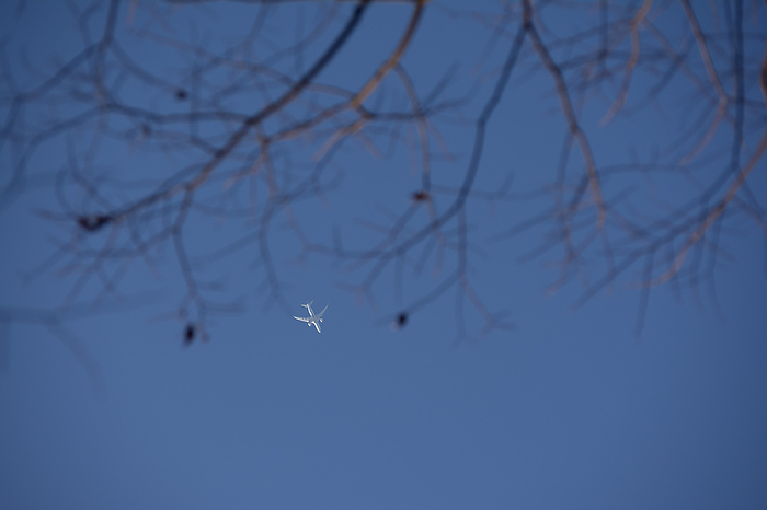 White airliner flying in blue sky