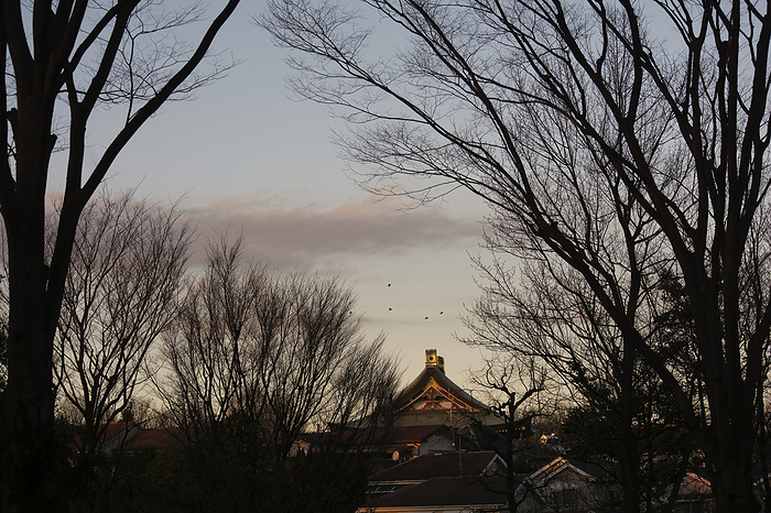 Scenery of Akatsuka, Itabashi Ward