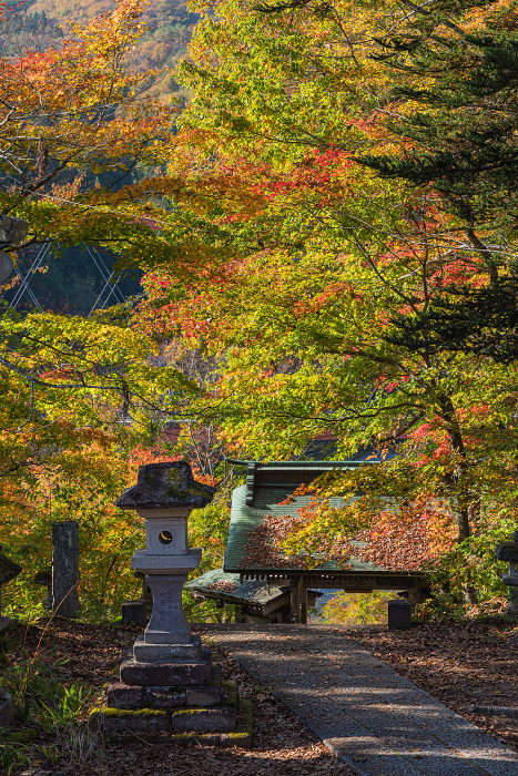Fukuman Kokuzo Bosatsu, Enzo-ji Temple, Yanaizu-cho, Kawanuma-gun, Fukushima, Japan, Fukuman-mon Gate and autumn leaves